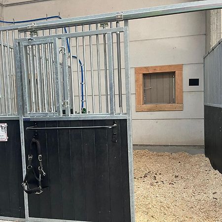 Apartamento T Klein Kasteeltje Wetteren Exterior foto